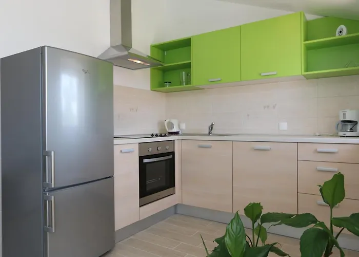 Sucic Iva I Tea 公寓 索利纳